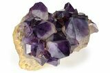 Deep Purple Amethyst Cluster - Congo #333245-1